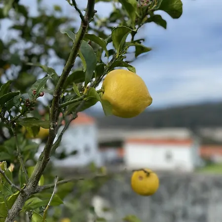 Beachfront Surf & House, Charming & Quiet Nyaraló