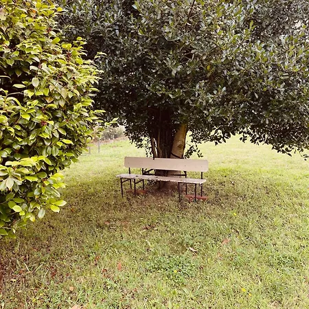 Beachfront Surf & House, Charming & Quiet Casa vacanze Villarrube