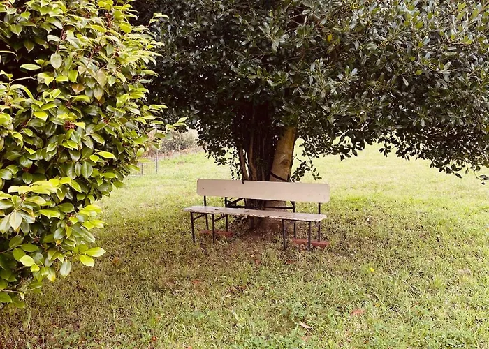 Beachfront Surf & House, Charming & Quiet 別荘 Villarrube